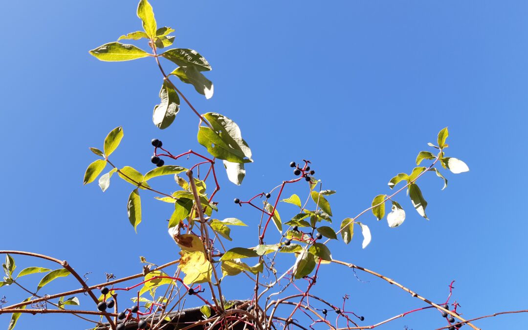 31. Oktober 2019
