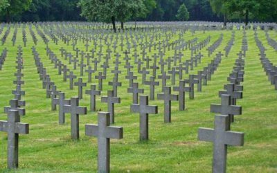 Statement: 80 Jahre Ende des II. Weltkriegs (DE, EN, FR)