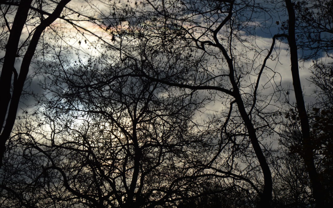 GEKE und österreichische Ev. Kirchen zu Anschlag von Wien/CPCE and Austrian protestant churches on attack of Vienna
