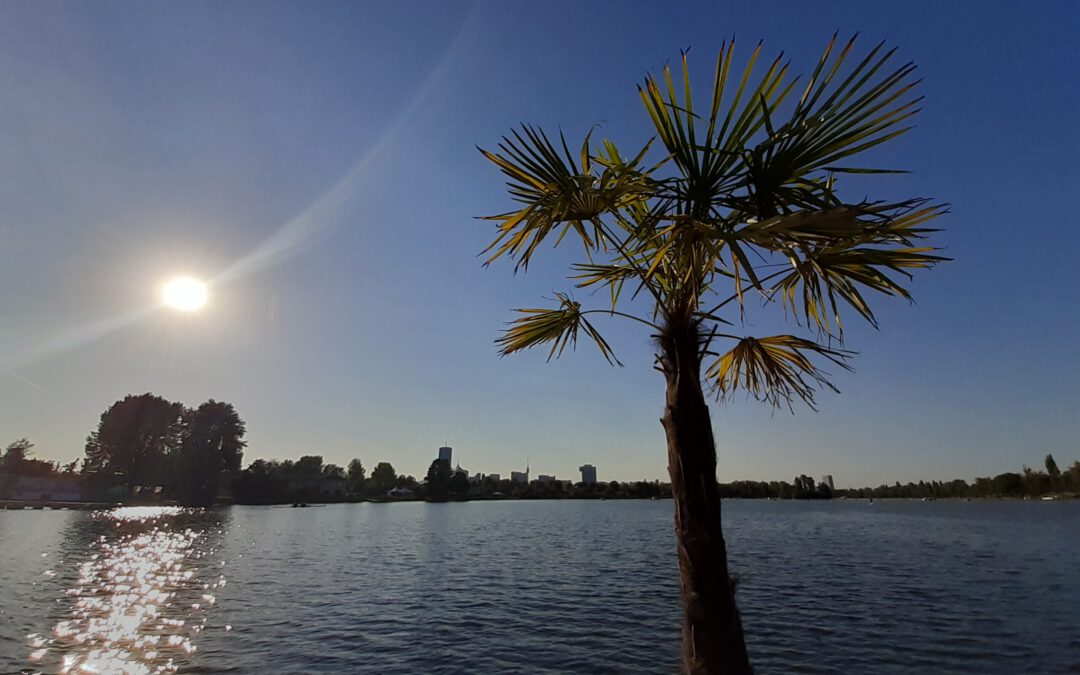 Sommer 2022/Summer 2022