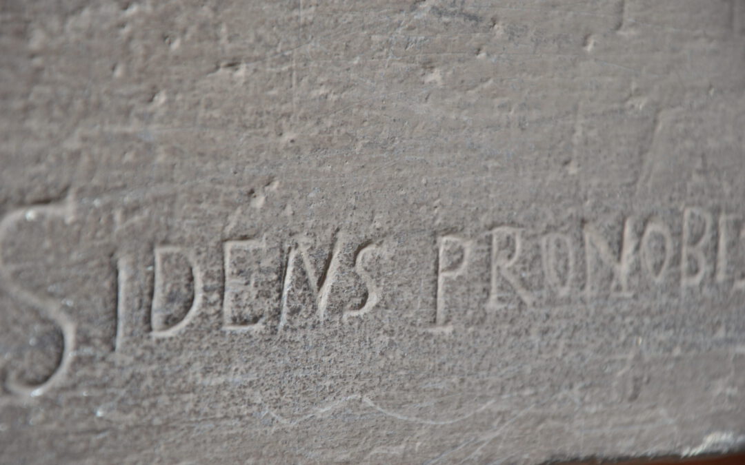 Lust auf Leitung – Desire to Lead, Vienna Oct 2020