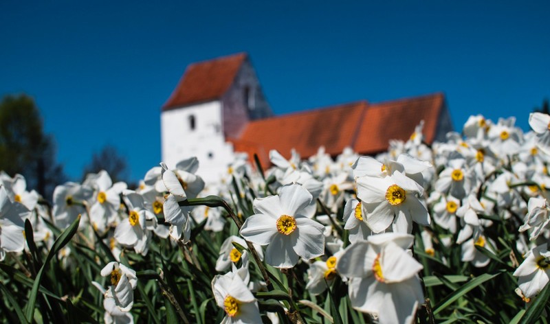Mitgliedskirche Dänemark 1